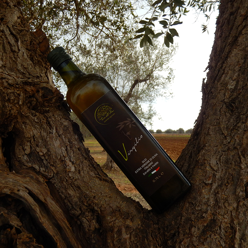 Olio Extra Vergine di Oliva Virgilio - 1 bottiglia da 750 ml