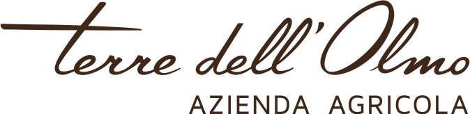 Logo Terre dell'Olmo