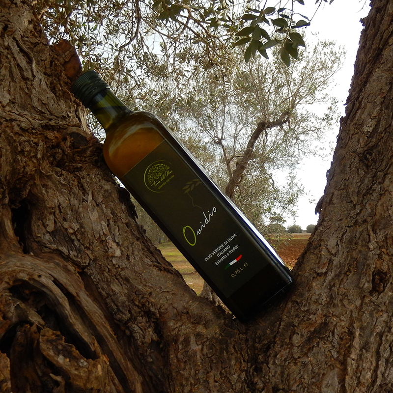 bottiglia_olio_vergine_di_oliva_ovidio_terredellolmo2