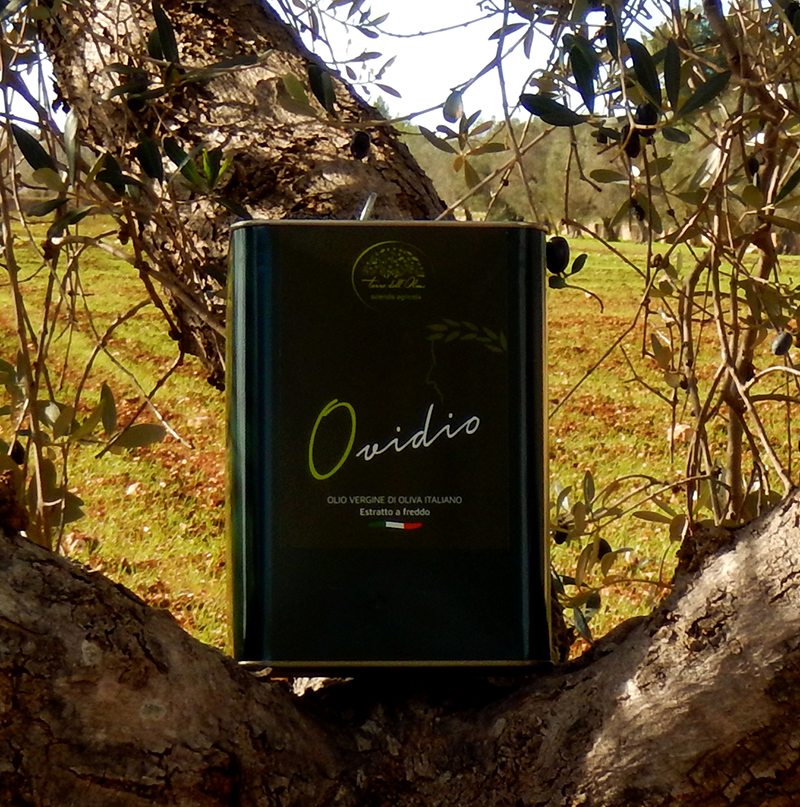 Olio Vergine di Oliva Ovidio - Lattina 3 litri
